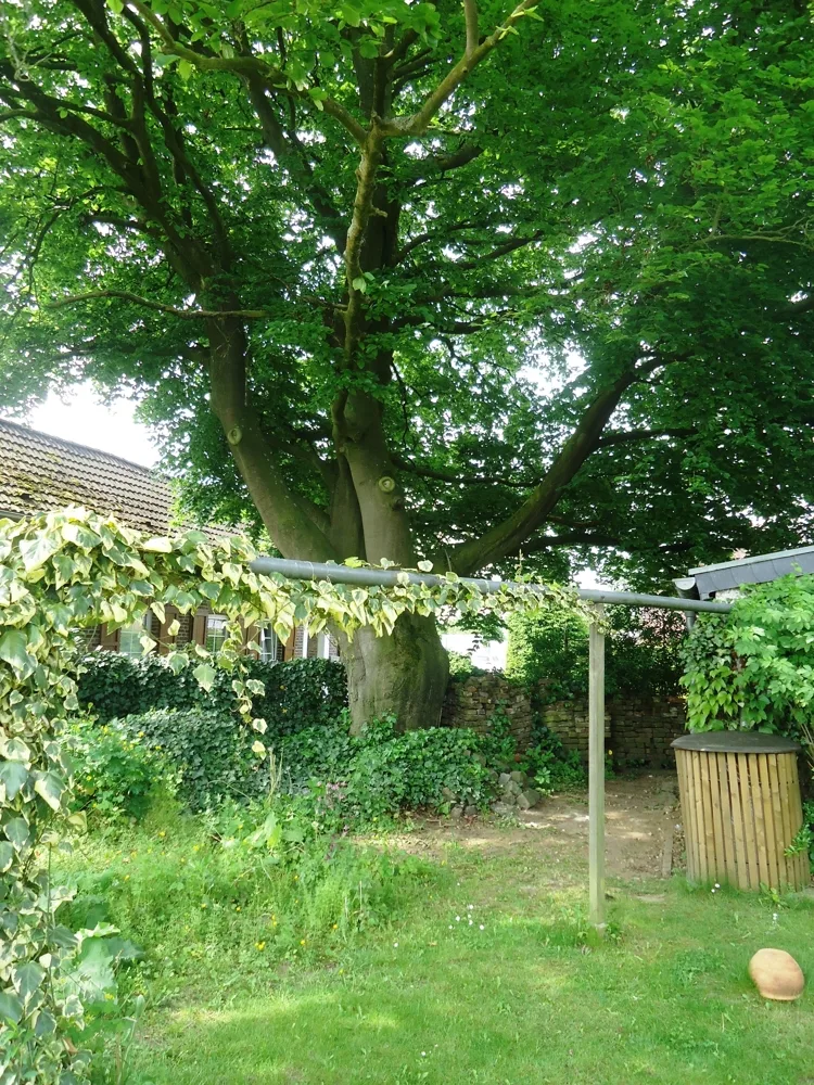 Gartenbereich Mieter 4