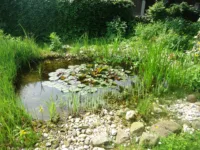 Gartenteich Mieter