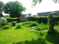 Gartenbereich Mieter 2