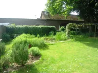 Gartenbereich Mieter 1