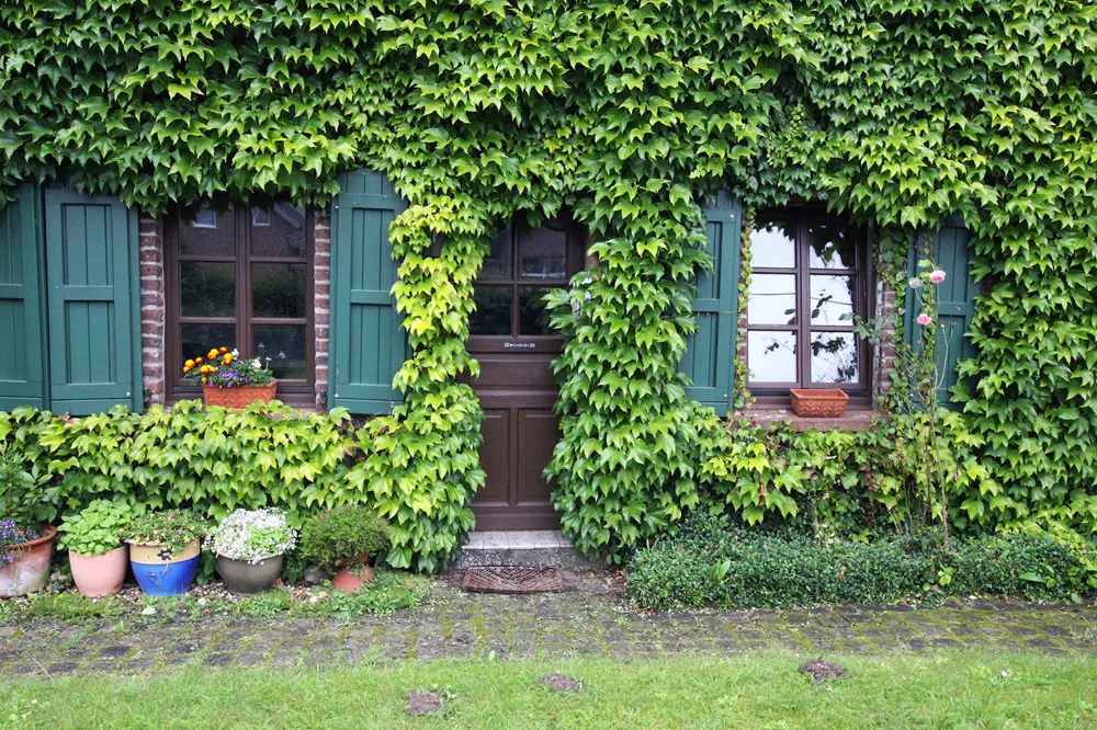 Eingangsbereich Wohnung 2