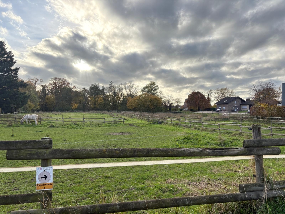 Ihr Umfeld