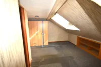DG
