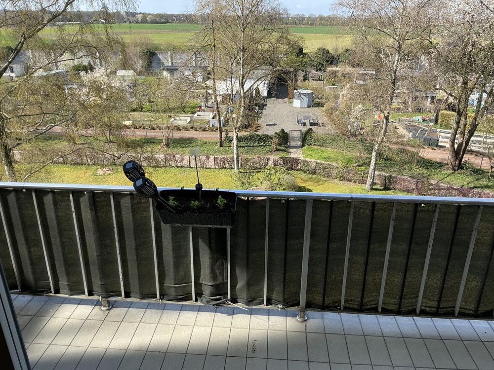 Aussicht vom Balkon
