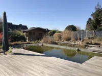 Sonnenterrasse-Teich