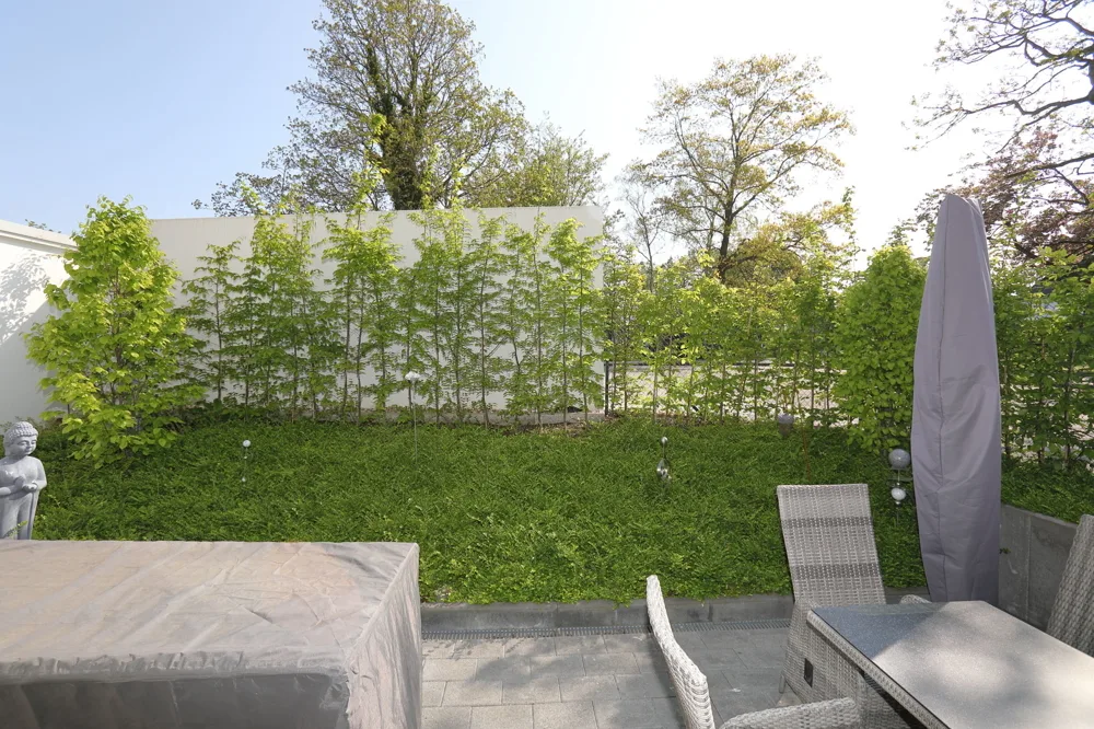 Terrasse - Foto 2