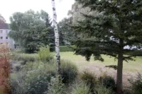 Ausblick