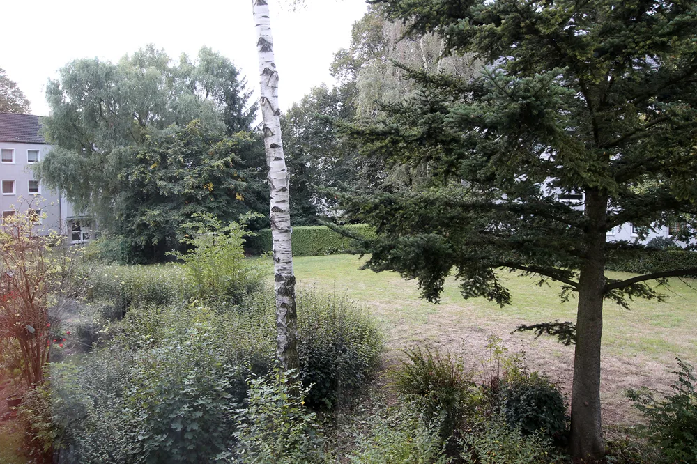 Ausblick