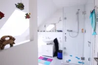 Bad DG