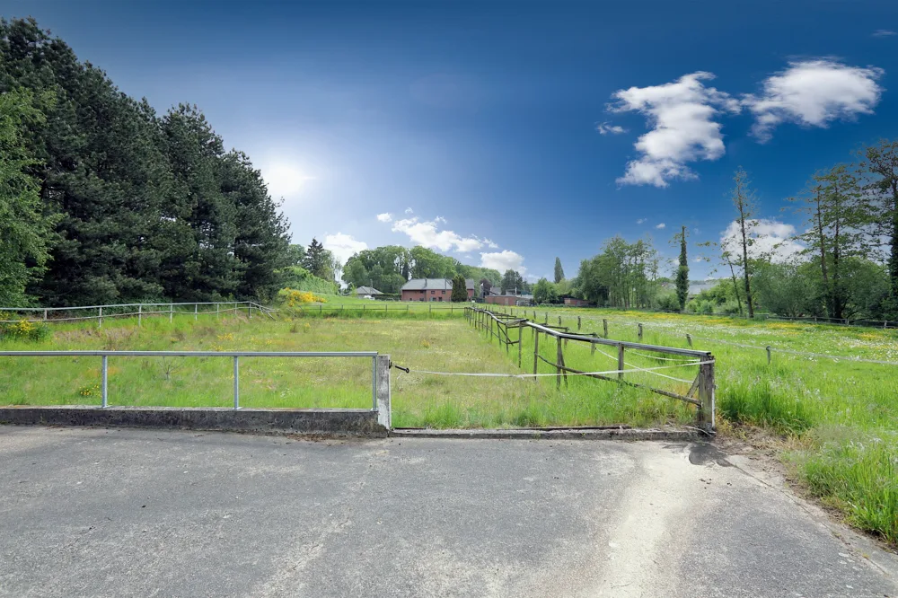 Weidefläche